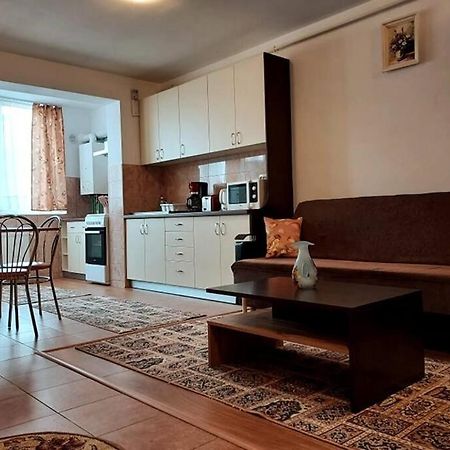 Spacious Flat, With Free Parking & Air Conditioning Floreşti Dış mekan fotoğraf