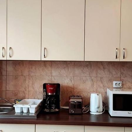Spacious Flat, With Free Parking & Air Conditioning Floreşti Dış mekan fotoğraf