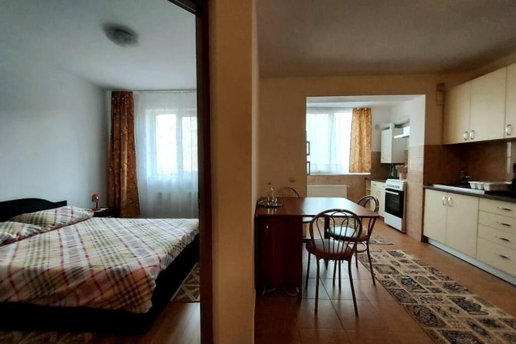 Spacious Flat, With Free Parking & Air Conditioning Floreşti Dış mekan fotoğraf