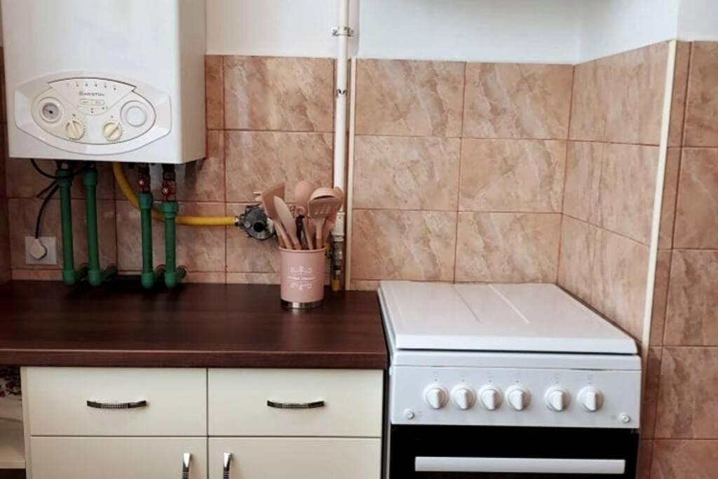 Spacious Flat, With Free Parking & Air Conditioning Floreşti Dış mekan fotoğraf