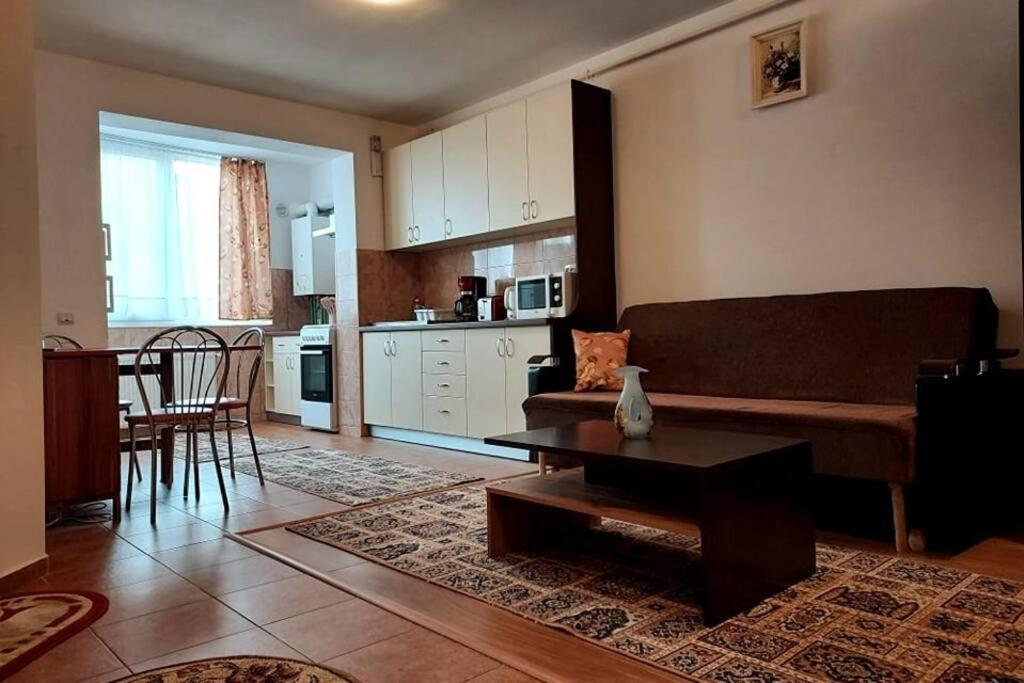Spacious Flat, With Free Parking & Air Conditioning Floreşti Dış mekan fotoğraf
