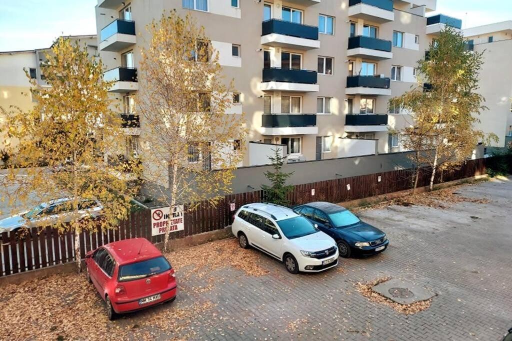Spacious Flat, With Free Parking & Air Conditioning Floreşti Dış mekan fotoğraf